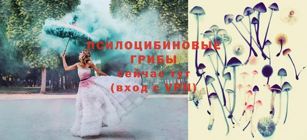 героин Горняк