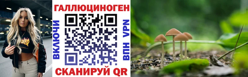 Псилоцибиновые грибы ЛСД  Купить где  Калач 